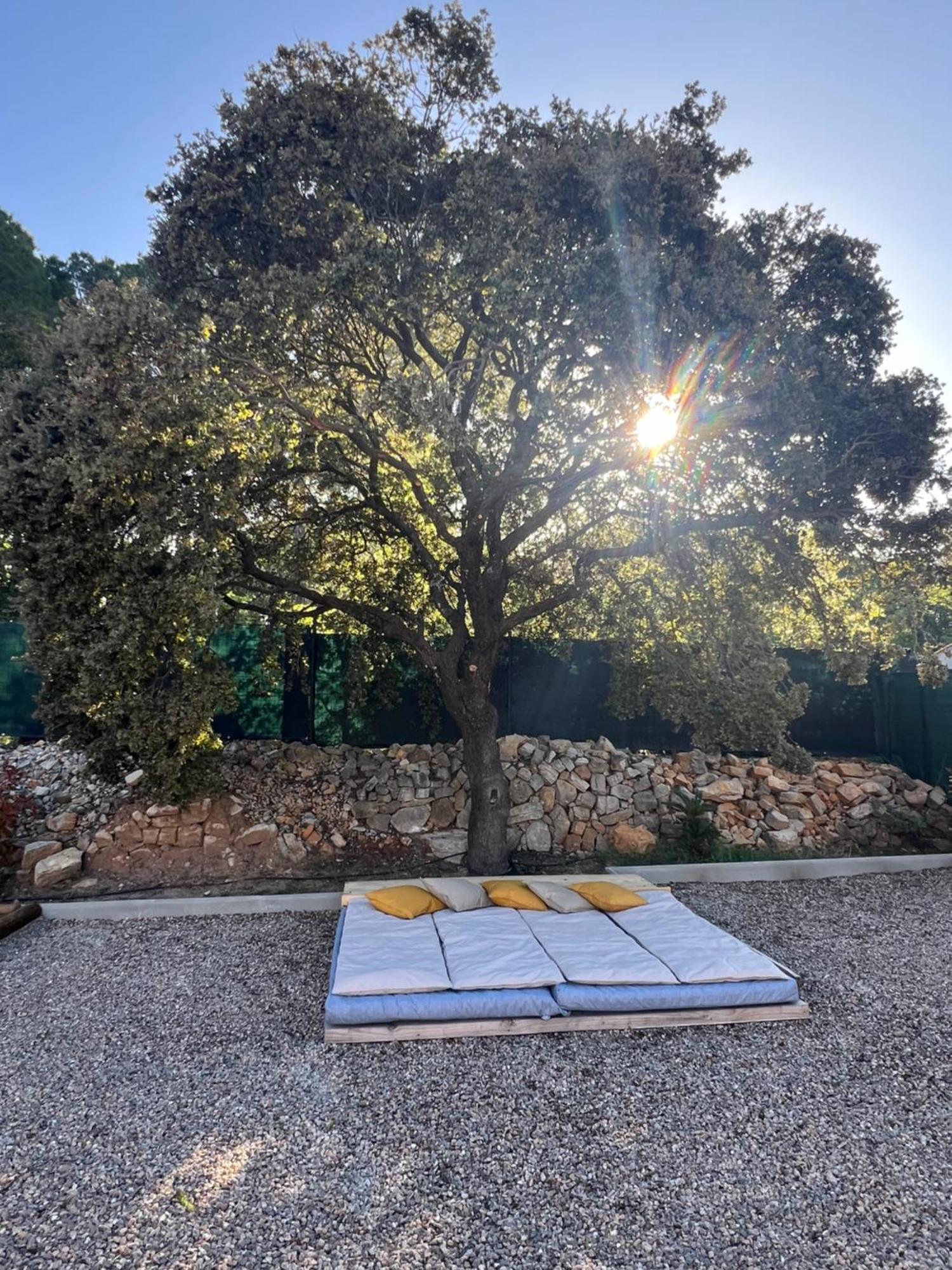 Вилла La Provence Piscine Privee, Petanque Et Barbecue Les Arcs-sur-Argens Экстерьер фото